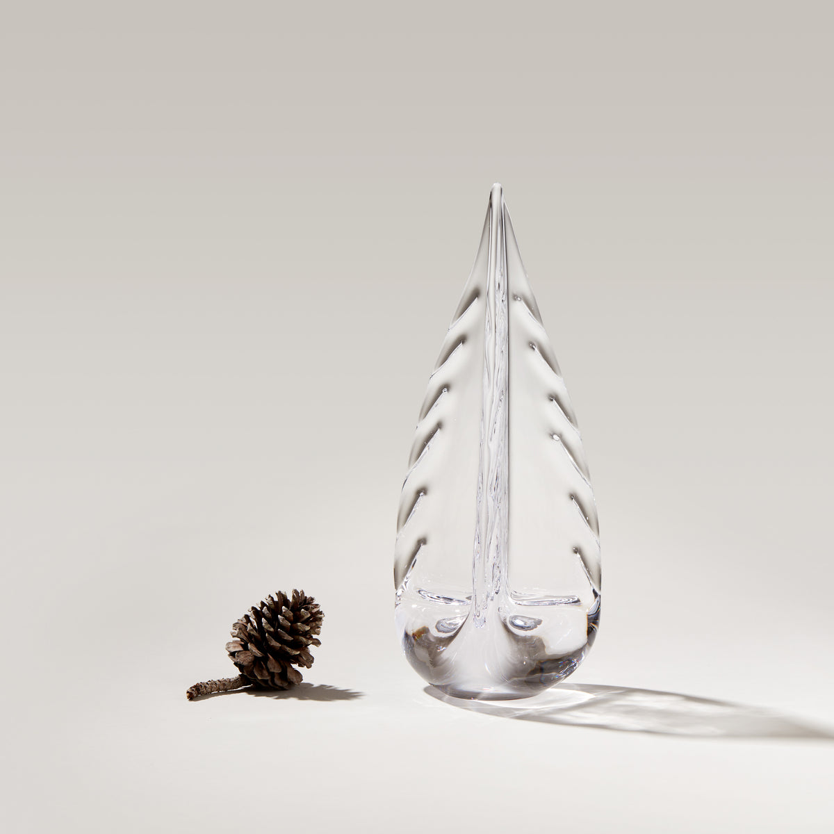 Clear glass teardrop-shaped vessel with frost-like coating and evergreen branch design, displayed next to a pinecone.