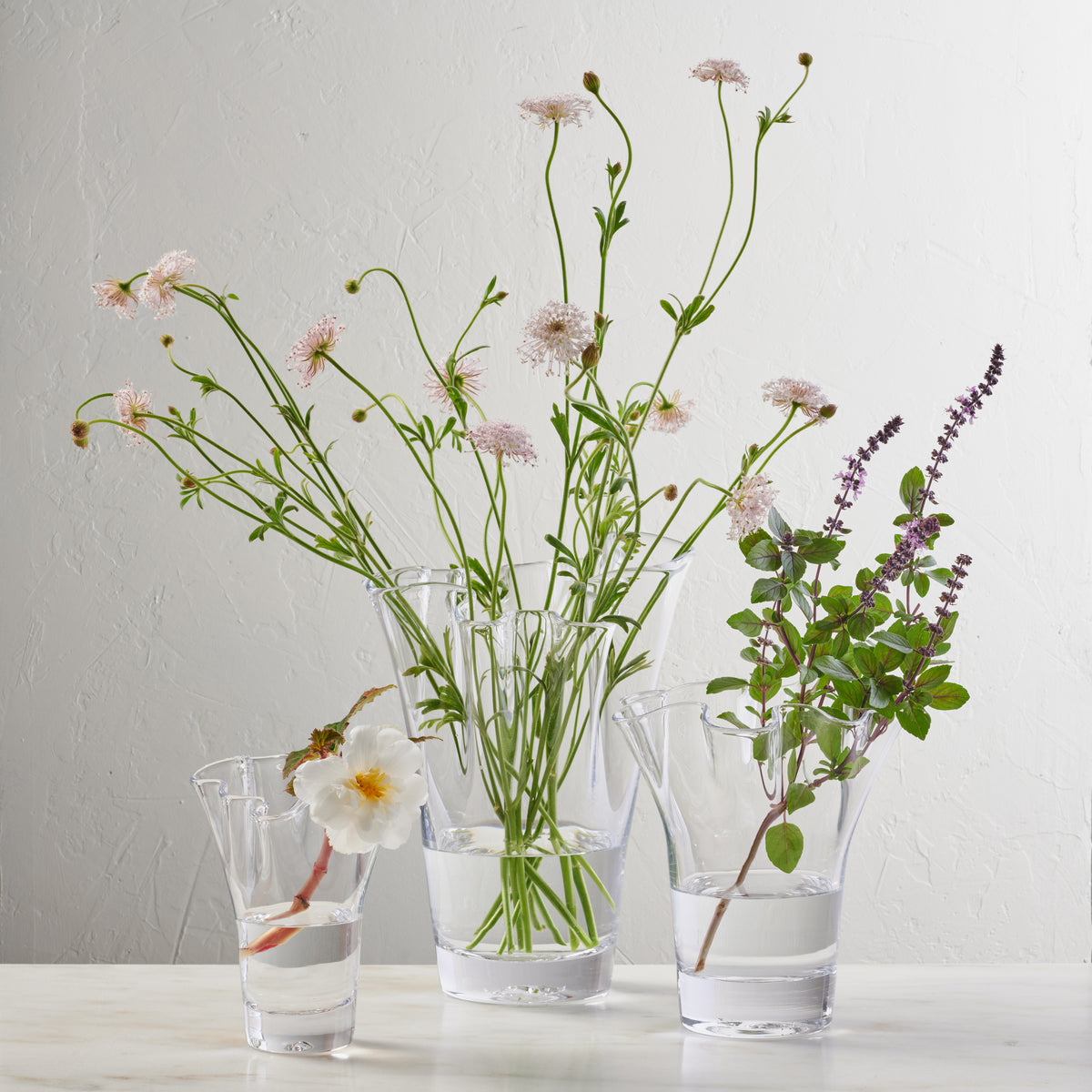 Anemone Vase