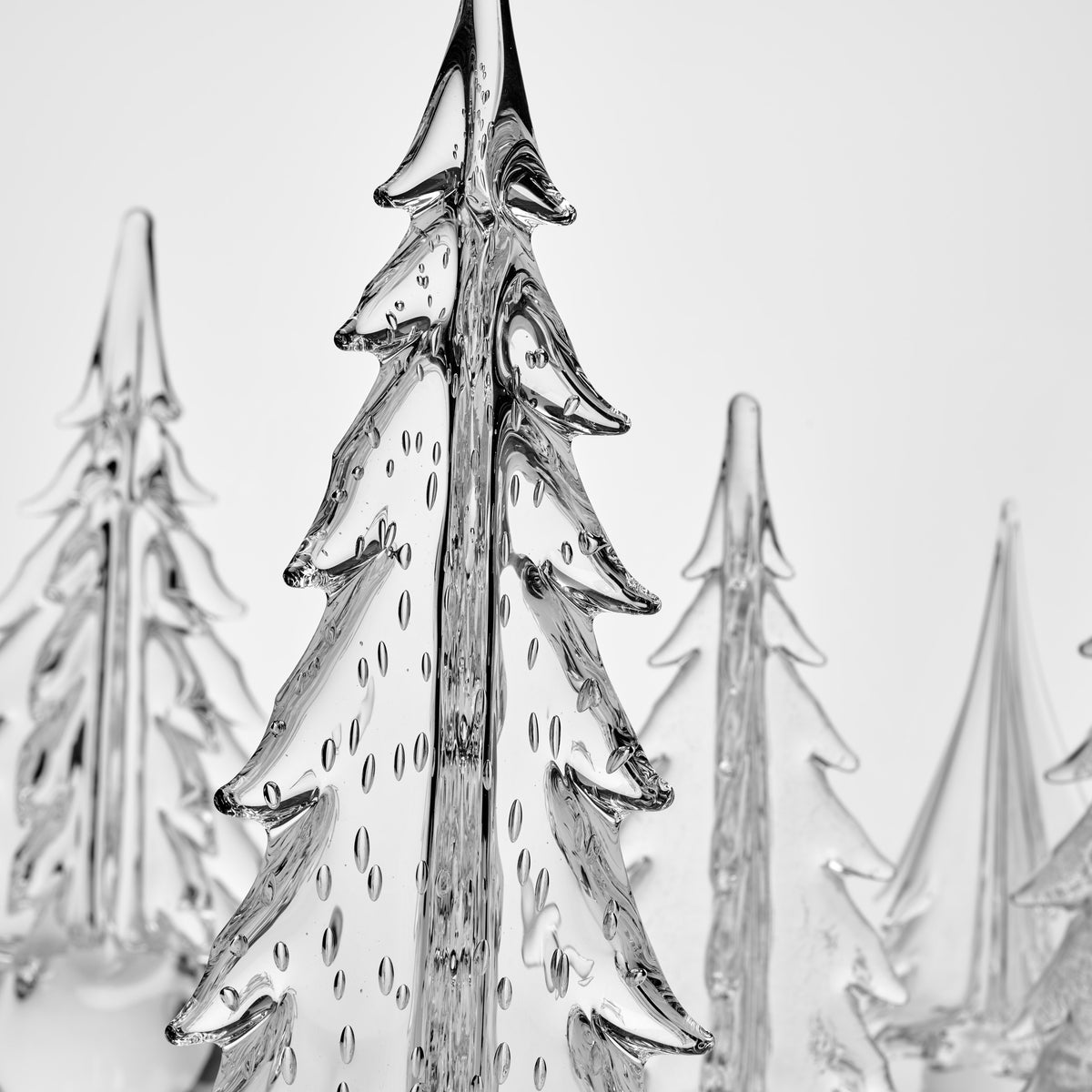 Designer Evergreen Forest