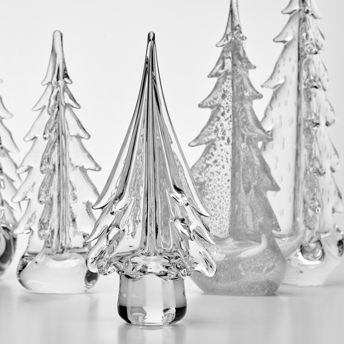 Designer Evergreen Forest