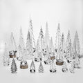 Enchanted Forest