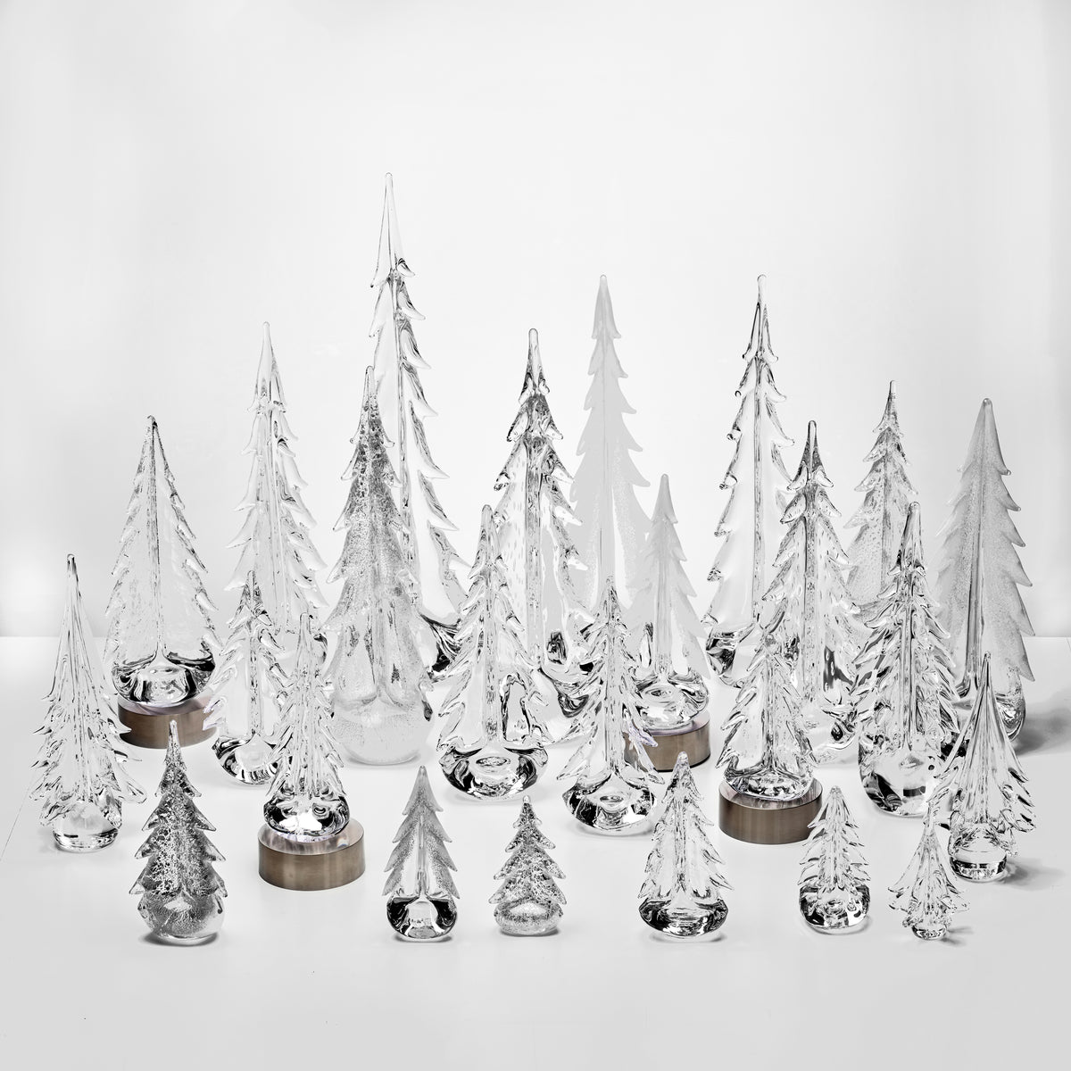 Enchanted Forest