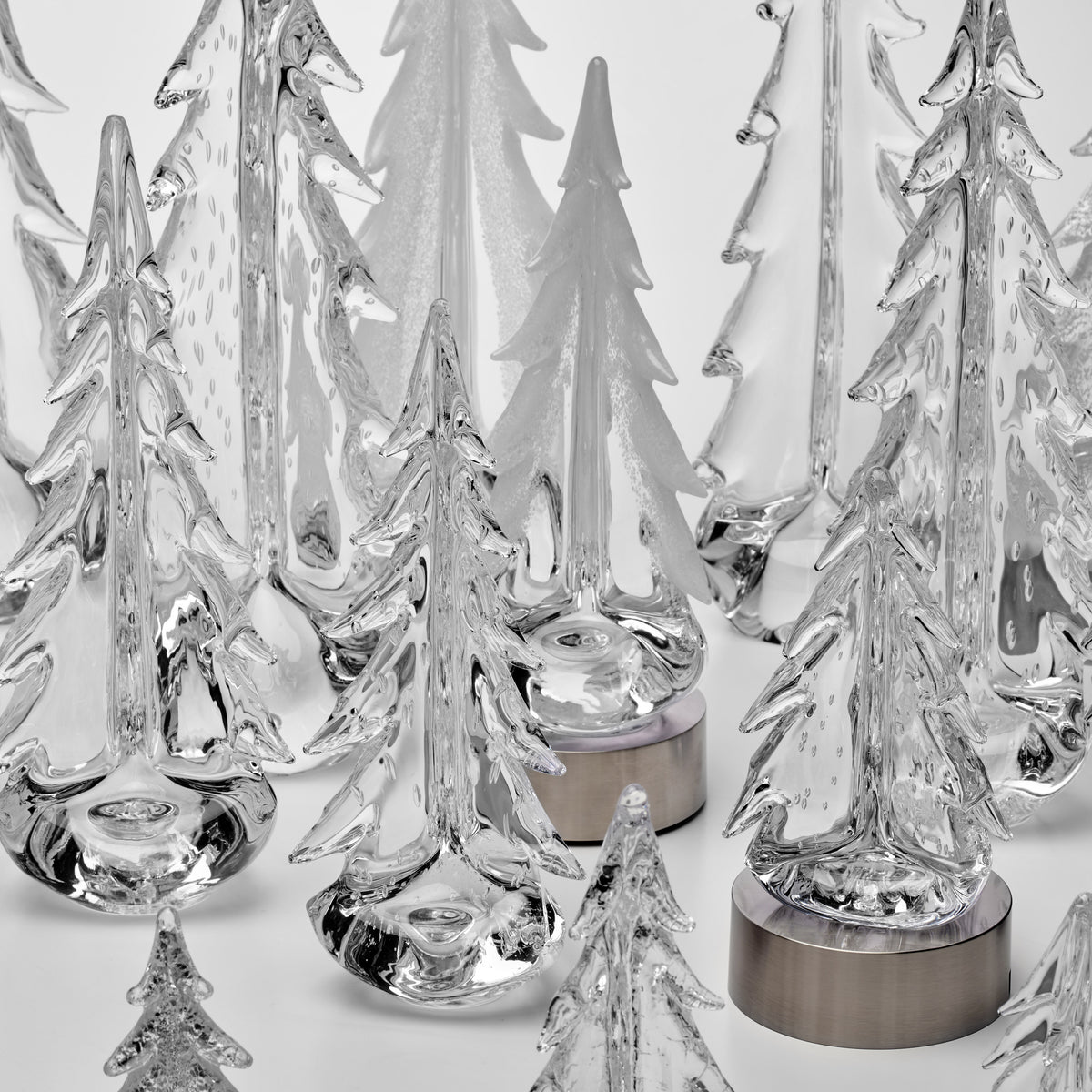 Enchanted Forest