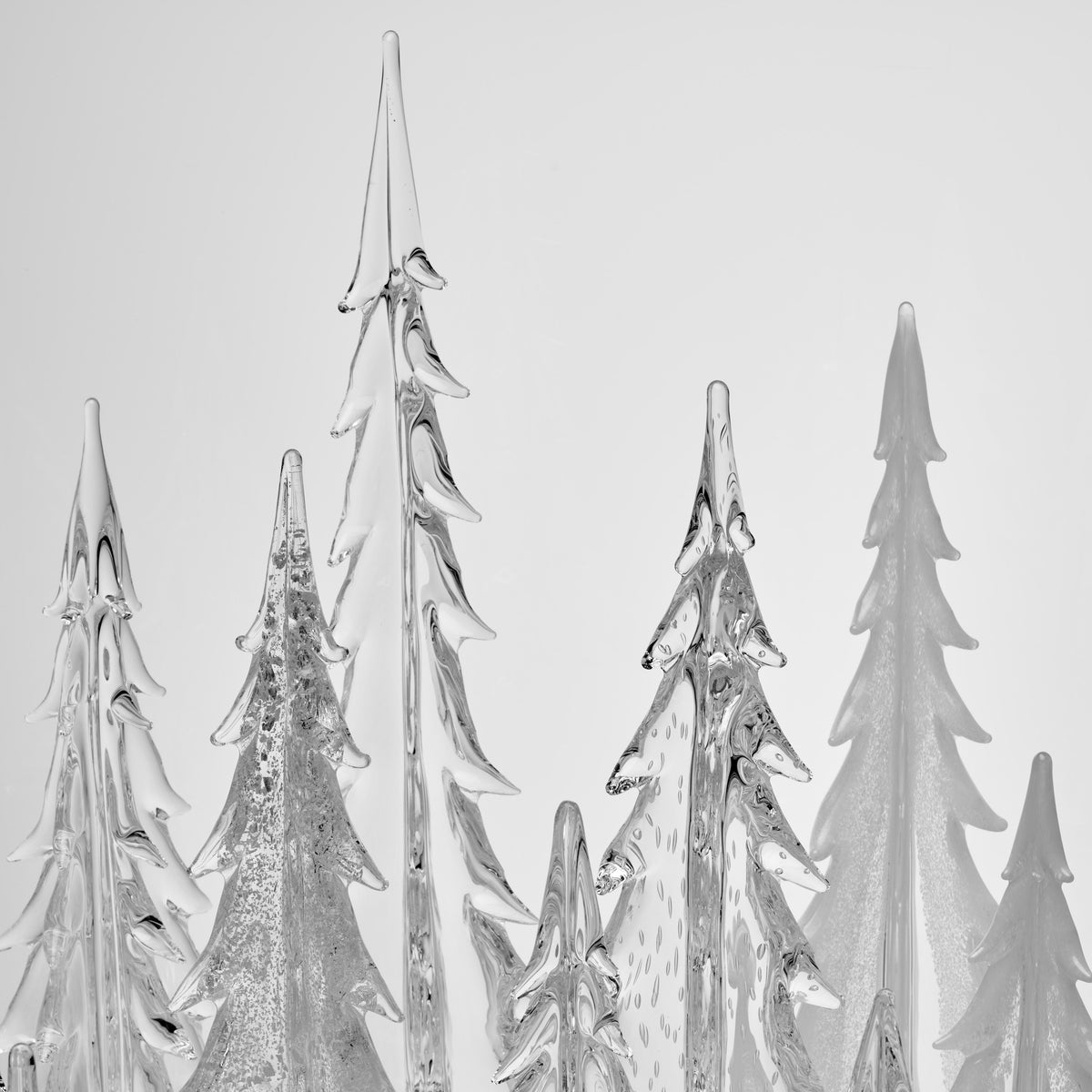 Enchanted Forest