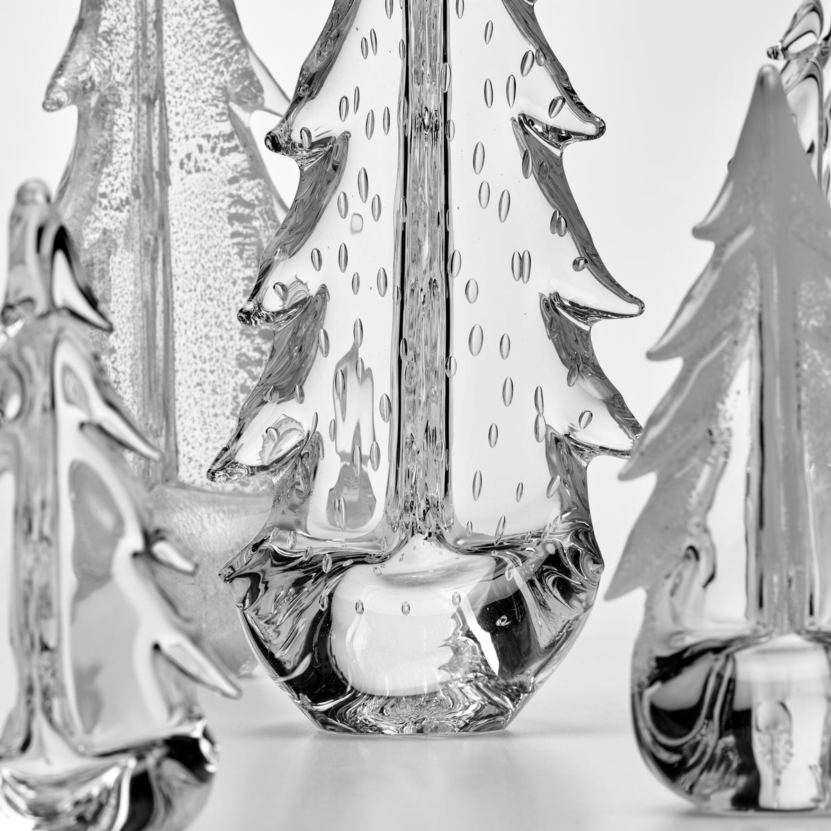 Family of Trees