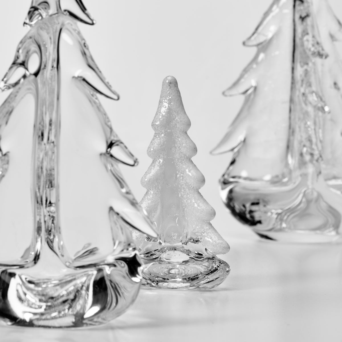 Mini Evergreen Forest Gift Set