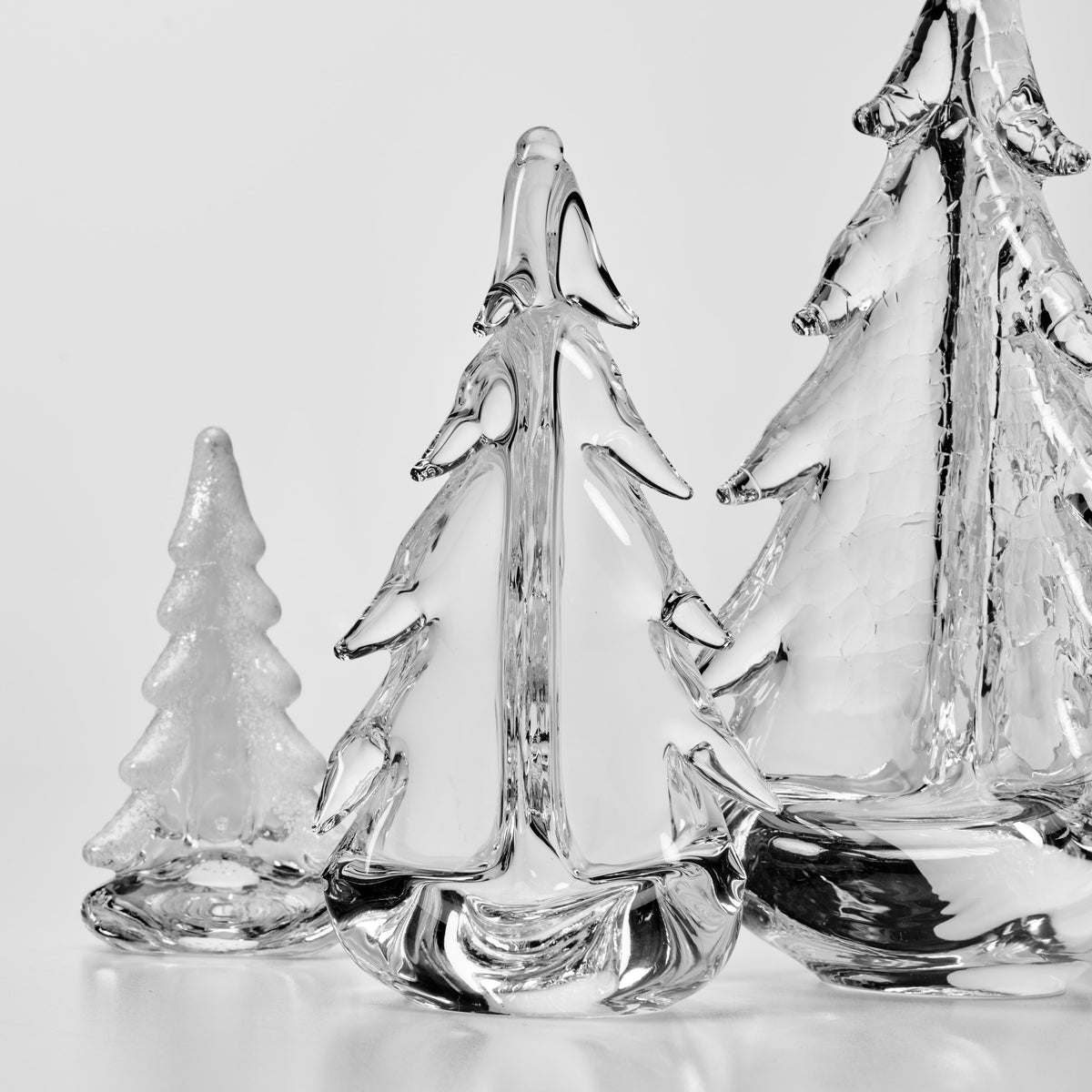 Mini Evergreen Forest Gift Set