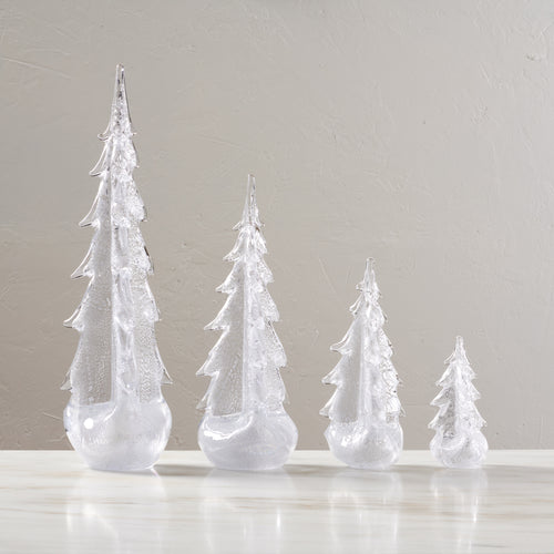 Silver Leaf Evergreen