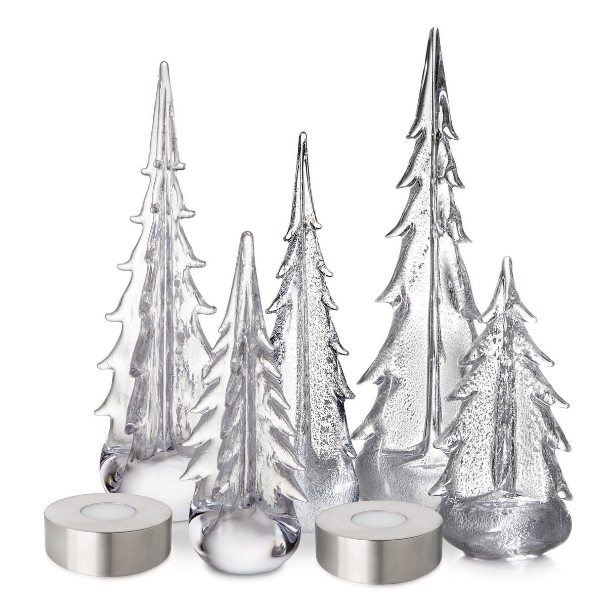 Winter Radiance Forest