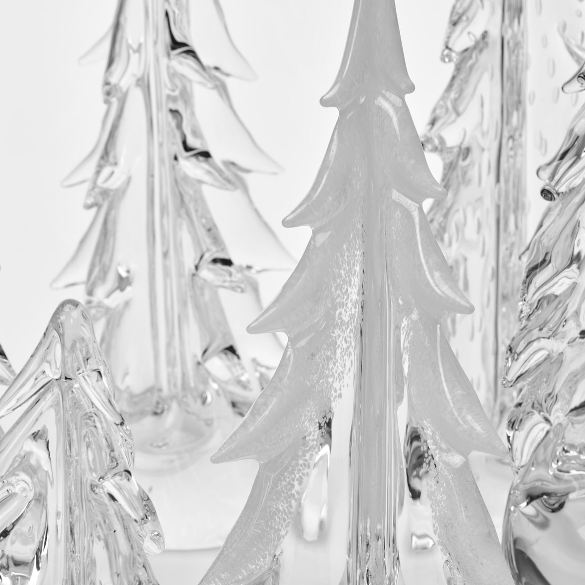 Winter Grove