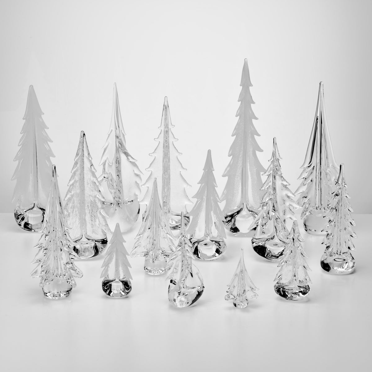 Winter Solstice Forest