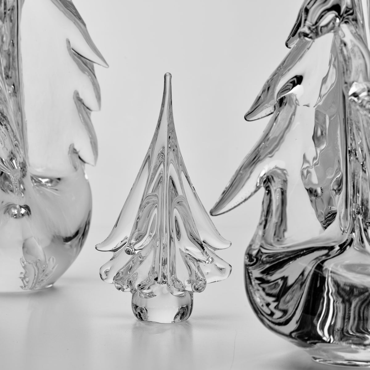 Winter Solstice Forest