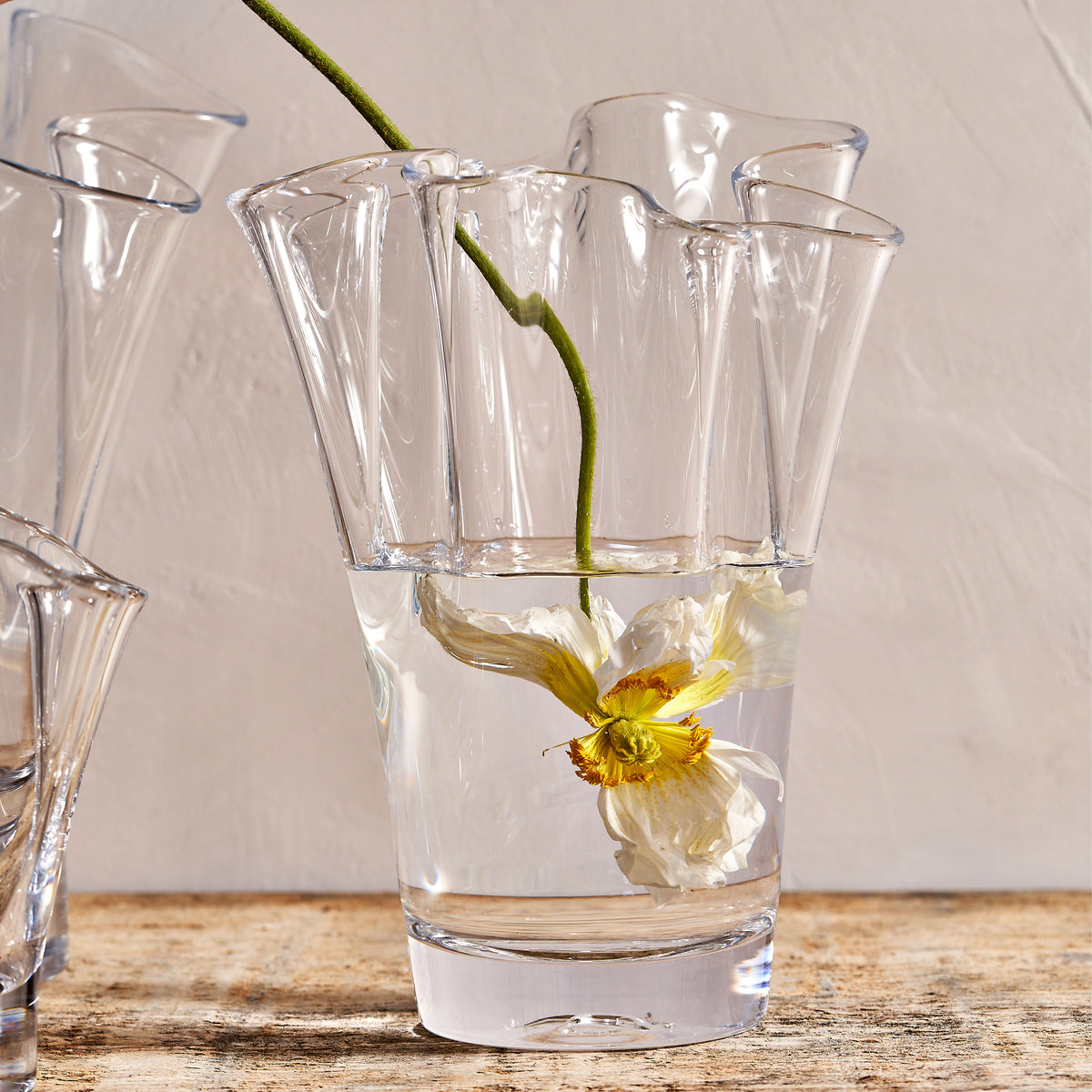 Clear glass vase with fluted petal-shaped sections holding a white anemone flower in water.