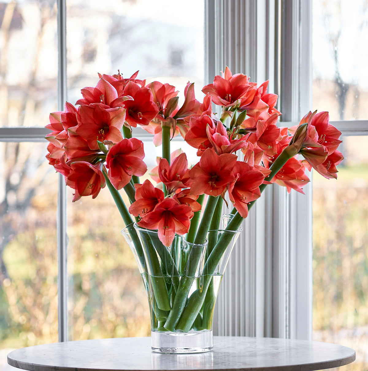 Clear glass vase with red anemone flowers and green stems arranged on a round table by a window.