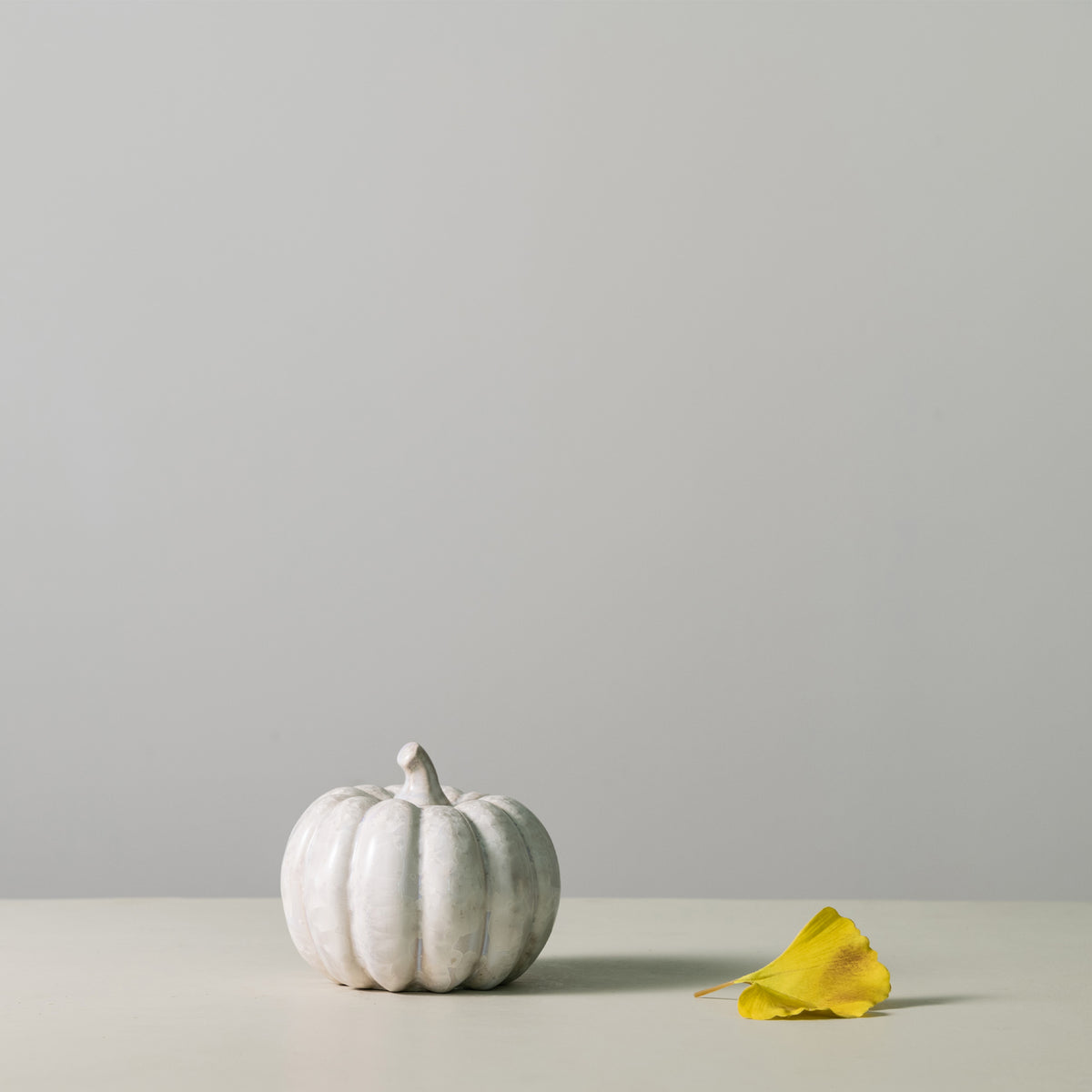 White crystalline pumpkin with ridged segments and stem on neutral surface with yellow petal.
