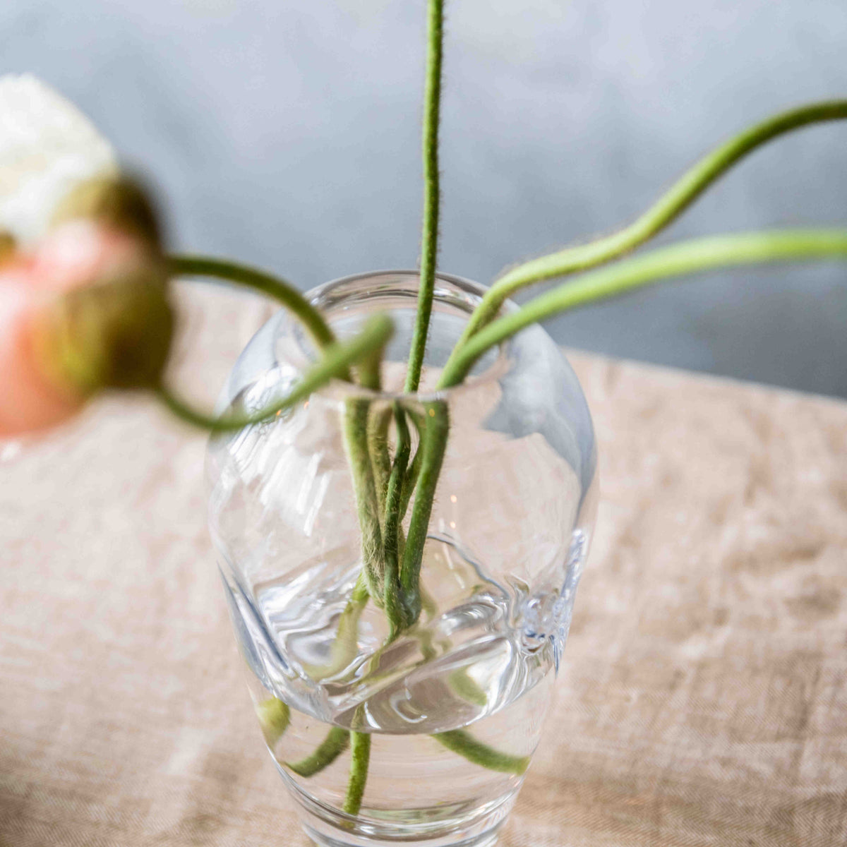 Clear glass vase with curved organic shape holding green flower stems and blurred blooms in background.