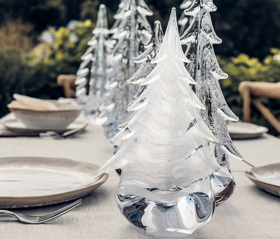 Snowdrift Evergreen in Gift Box
