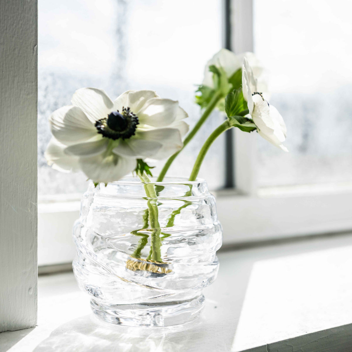 Clear glass tealight holder with horizontal ridged texture containing white anemone flowers with black centers.